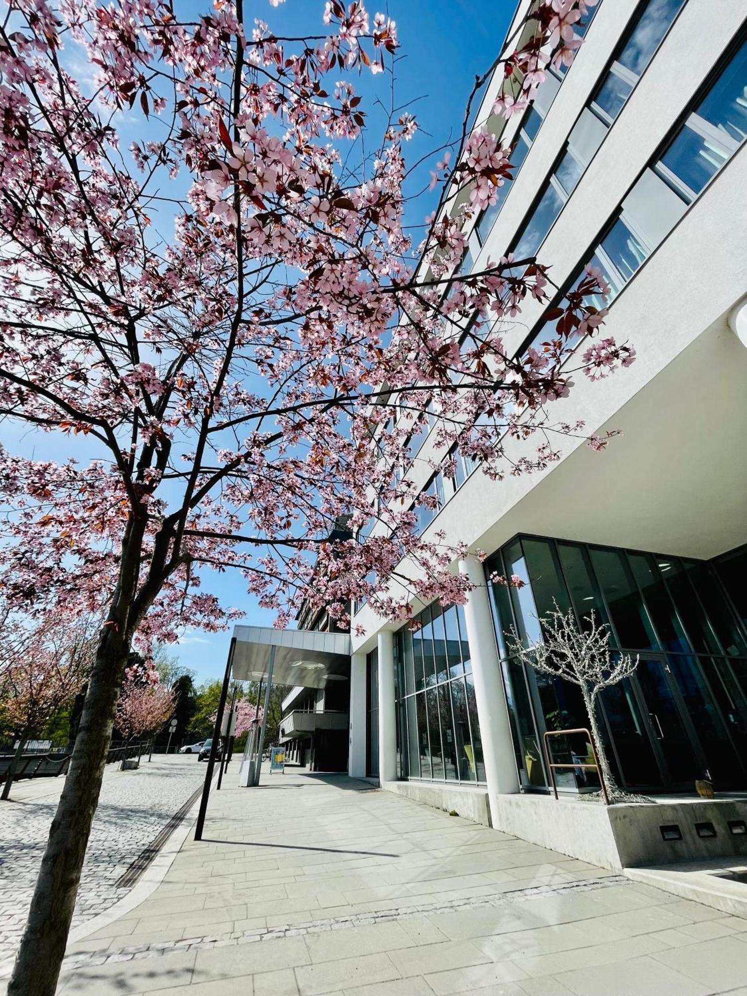 Quality Hotel Strand Gjøvik מראה חיצוני תמונה